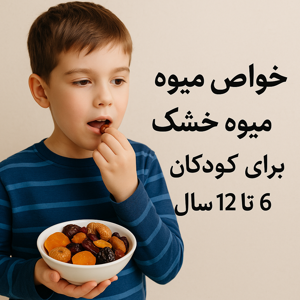 خواص میوه خشک برای کودکان 6 تا 12 سال-نفیس طعم آریانی