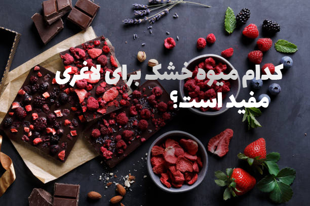 بهترین میوه های خشک برای لاغری-نفیس طعم آریانی