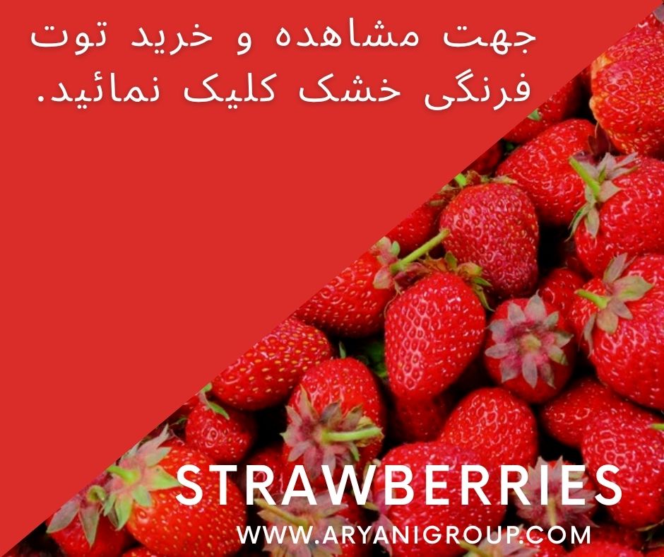 خرید توت فرنگی خشک قیمت توت فرنگی خشک 